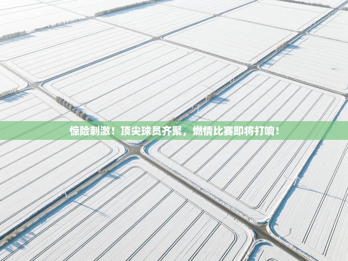 惊险刺激!顶尖球员齐聚,燃情比赛即将打响! 第2张