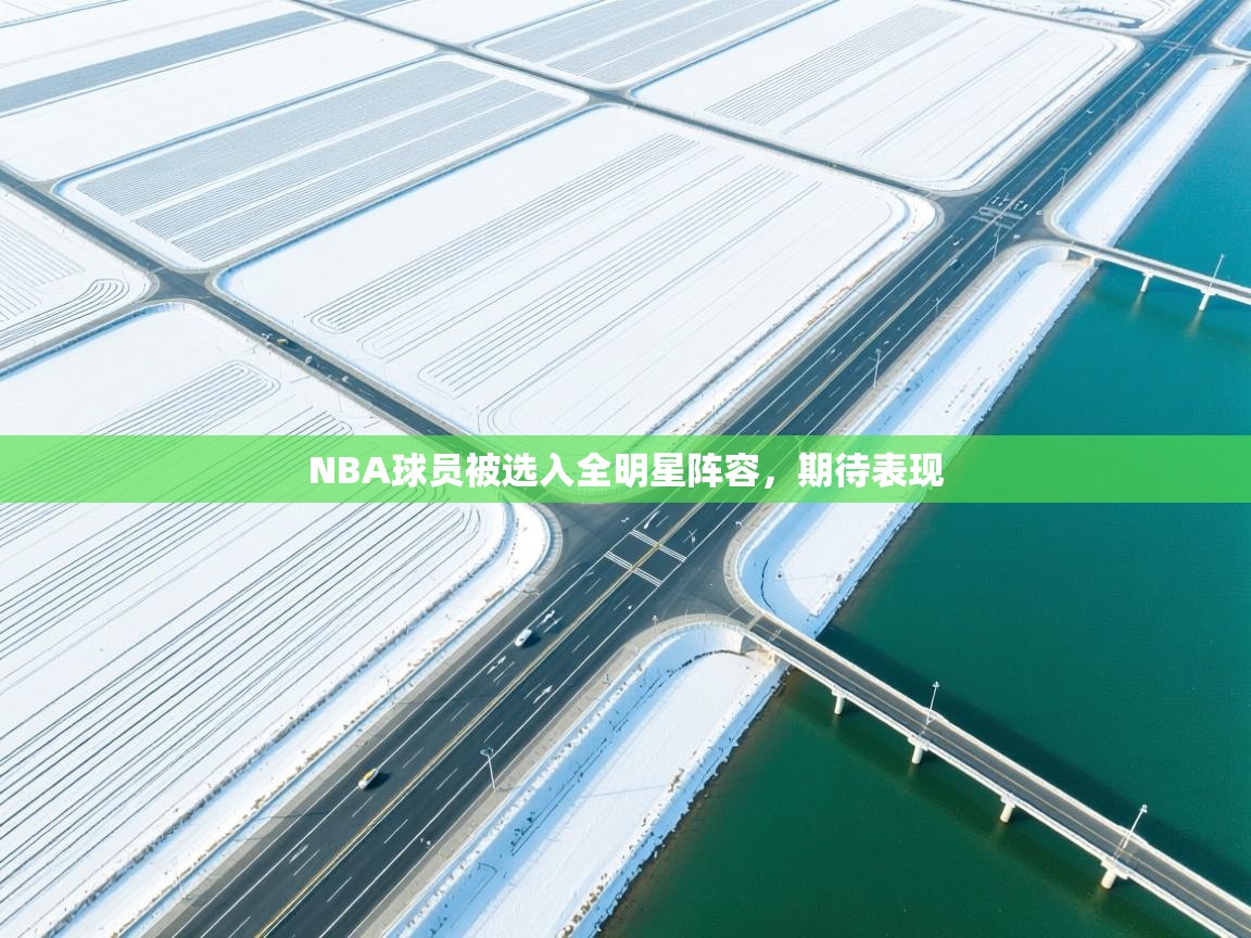 NBA球员被选入全明星阵容，期待表现